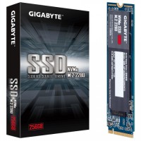 Gigabyte 256GB NVMe M.2 SSD (GP-GSM2NE3256GNTD)