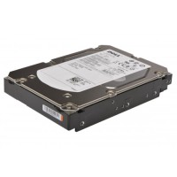 

                                    Dell Server 300 GB 3.5" 10000 Rpm HDD SAS