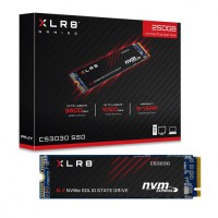 

                                    PNY CS3030 250GB M.2 NVMe SSD