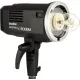 Godox AD600BM Witstro Manual All-In-One Outdoor Flash