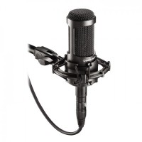 

                                    Audio Technica AT2035 Cardioid Condenser Microphone