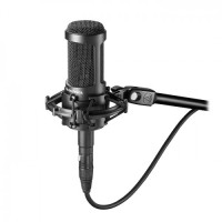 

                                    Audio Technica AT2050 Multi-pattern Condenser Microphone