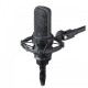 Audio Technica AT4050 Multi-pattern Condenser Microphone