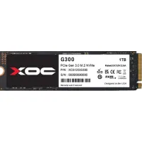 

                                    XOC G300 1TB Gen3 PCIe 3.0 NVMe SSD