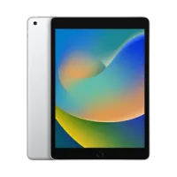 

                                    Apple iPad 10.2 inch 9th Gen 256GB Wi-Fi Silver (MK2P3XX/A)