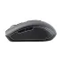 Havit MS951GT Wireless Optical Mouse