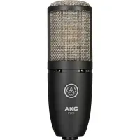 

                                    AKG P220 High-Performance Large Diaphragm True Condenser Microphone