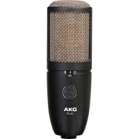 

                                    AKG P420 Dual-Capsule True Condenser Microphone