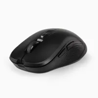 

                                    PROLiNK PMW6009 2.4GHz Wireless Nano Optical Mouse