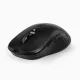 PROLiNK PMW6009 2.4GHz Wireless Nano Optical Mouse