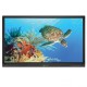 Boxlight ProColor 864U 86" 4K Interactive Flat Panel Display