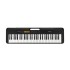 CASIO CT-S100BK Standard Portable Keyboard With 9.5V Adaptor