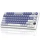 Royal Kludge RK M75 RGB Tri-Mode Hot-Swappable Silver Switch Mechanical Keyboard