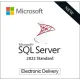 Microsoft SQL Server 2022 Standard (CSP Perpetual)