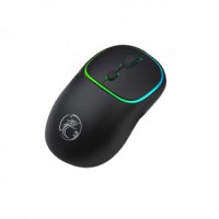 

                                    IMICE W-618 Rechargeable Bluetooth Dual Wireless Mouse