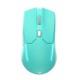 Fantech VENOM II WGC2 Mint Edition Wireless 2.4GHZ Pro-Gaming Mouse