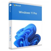 

                                    Microsoft Windows 11 Professional