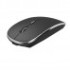 WiWu WM101 Wimice Dual Wireless Mouse